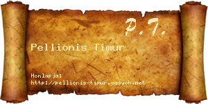 Pellionis Timur névjegykártya